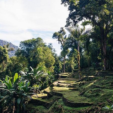Finca Cuipo Buritaca Eksteriør billede
